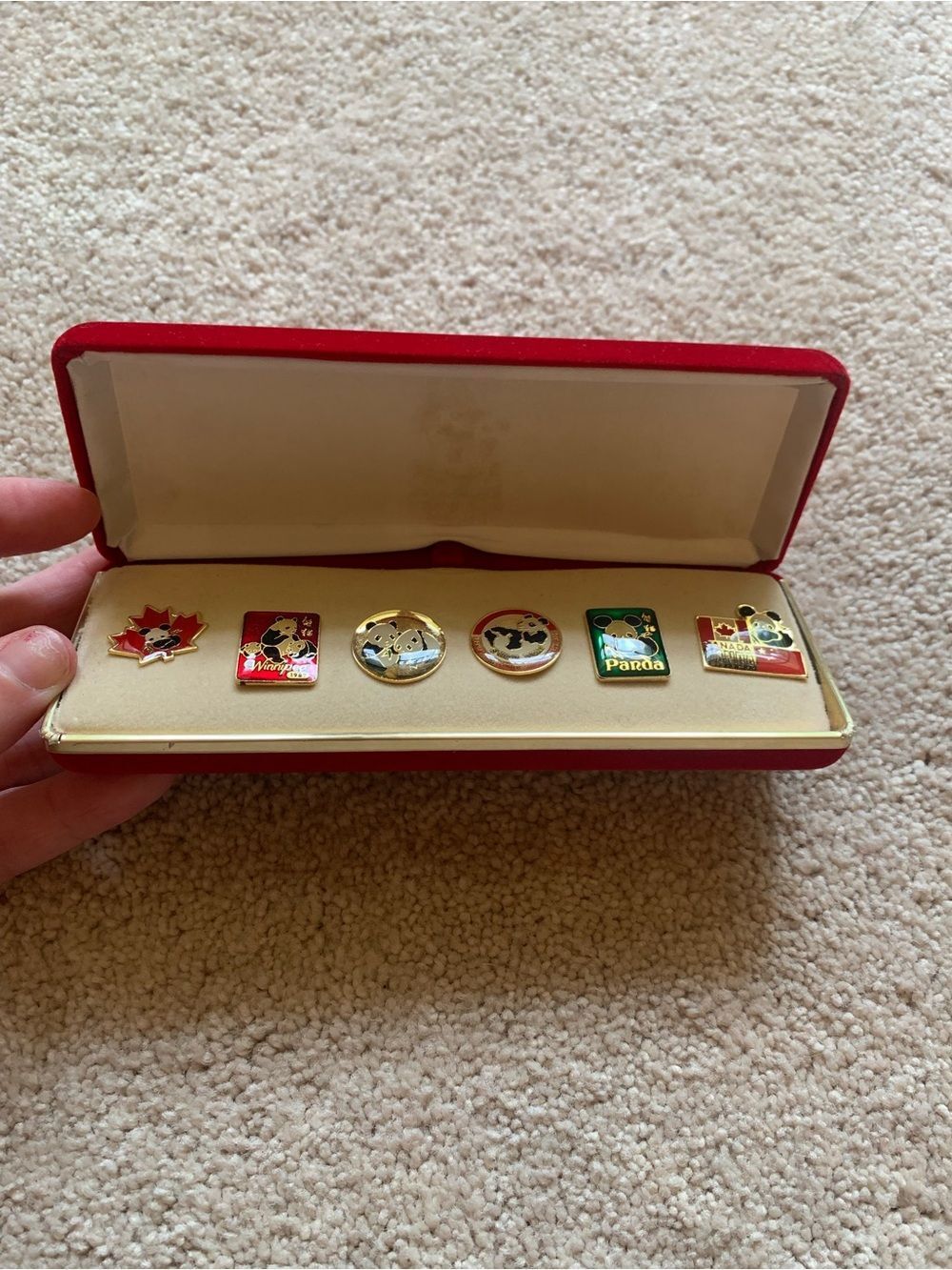 Collection of Six Vintage Pandas in Person Winnipeg 89’ 1989 Lapel Pins - Picture 2 of 3